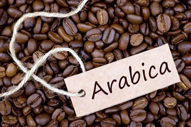 Jenis Kopi Indonesia Dunia