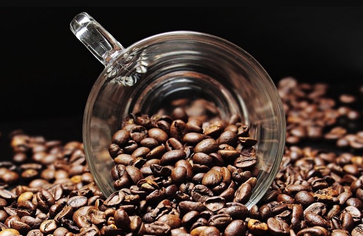 Sejarah Kopi Jenderal