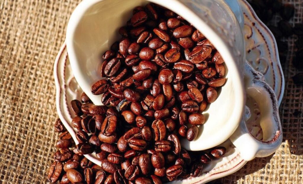 Kepopuleran Kopi Gayo di Tingkat Global